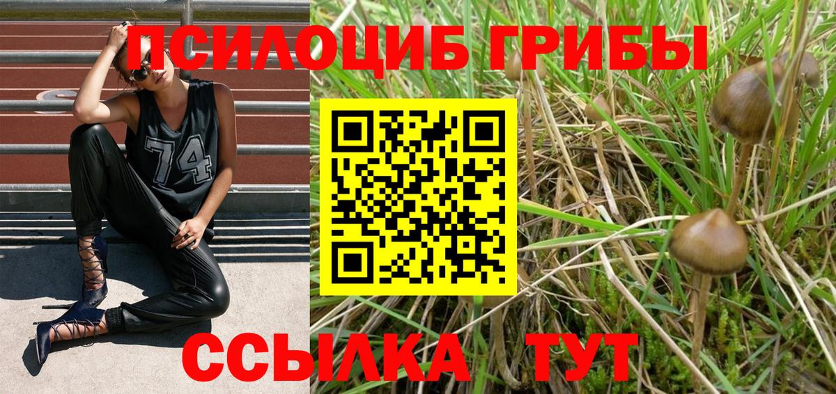 Галлюциногенные грибы прущие грибы  Вход с VPN  Кстово 