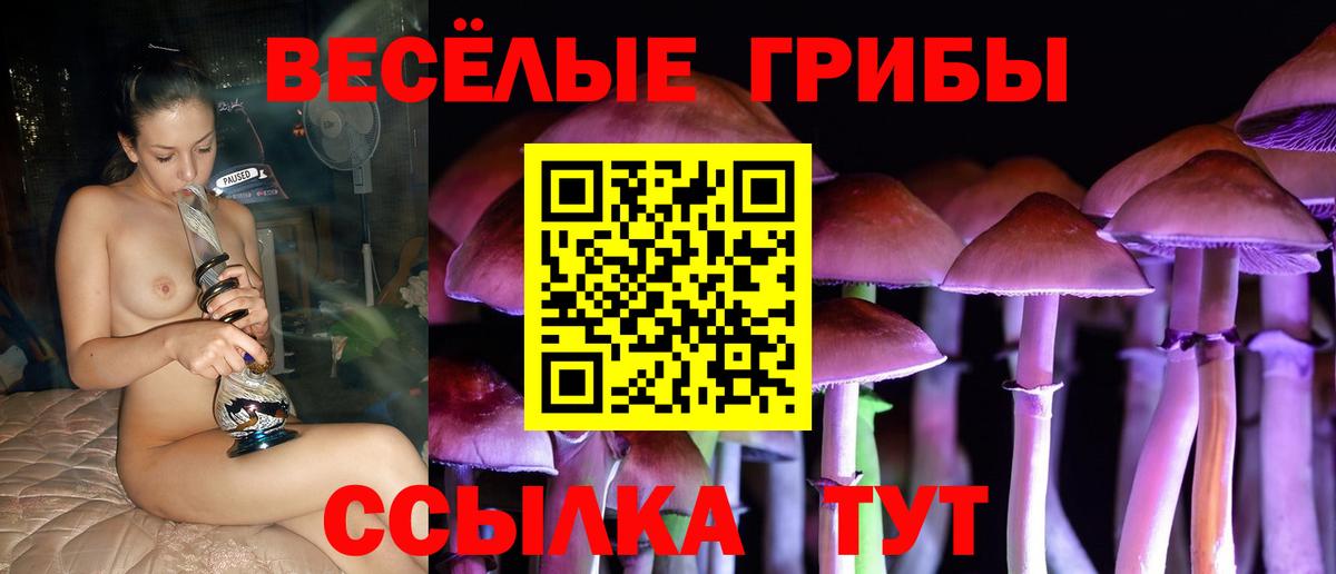 Галлюциногенные грибы прущие грибы Кстово